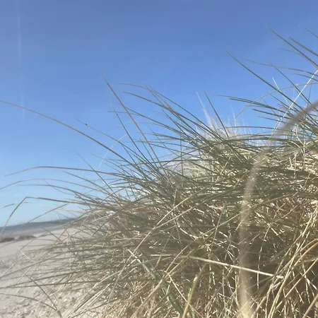 Apartmán Vue Mer, Golfe Et Dunes- Dunes Du Golfe *